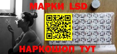 apvp Канаш
