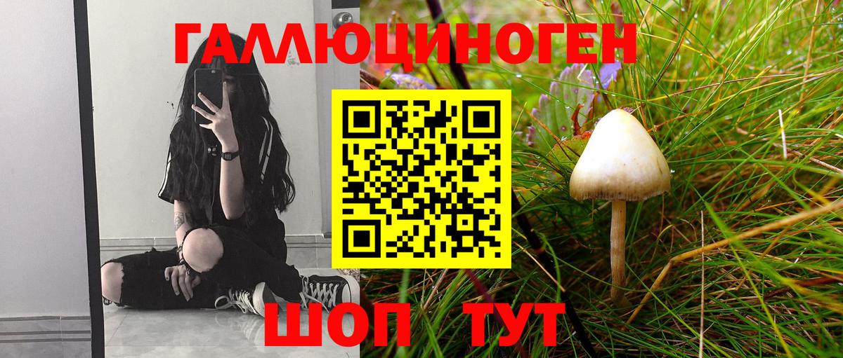 Псилоцибиновые грибы Psilocybine cubensis Лабытнанги