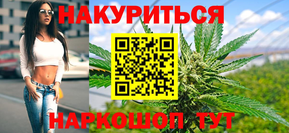 Канабис сатива Лабытнанги